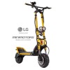 WOLF WARRIOR 11 KING - GOLD