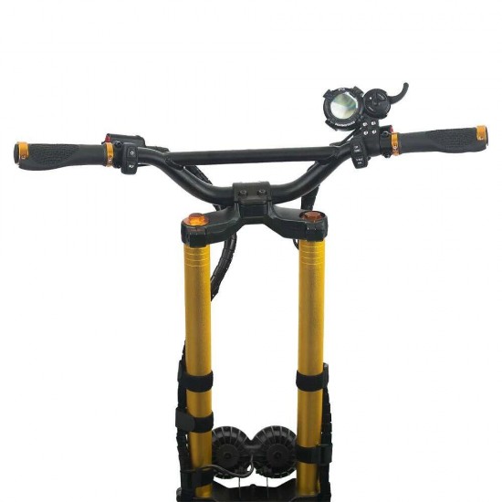 WOLF WARRIOR 11 KING - GOLD